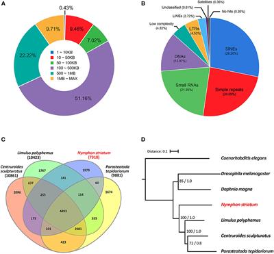 The First Pycnogonid Draft Genome of Nymphon striatum